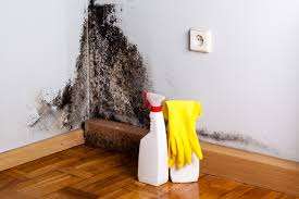 Best Biohazard Mold Removal  in Fruitridge Pocket, CA